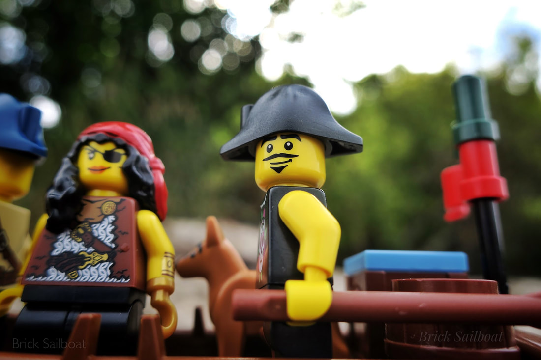 A group of LEGO explorers arrives on the beach