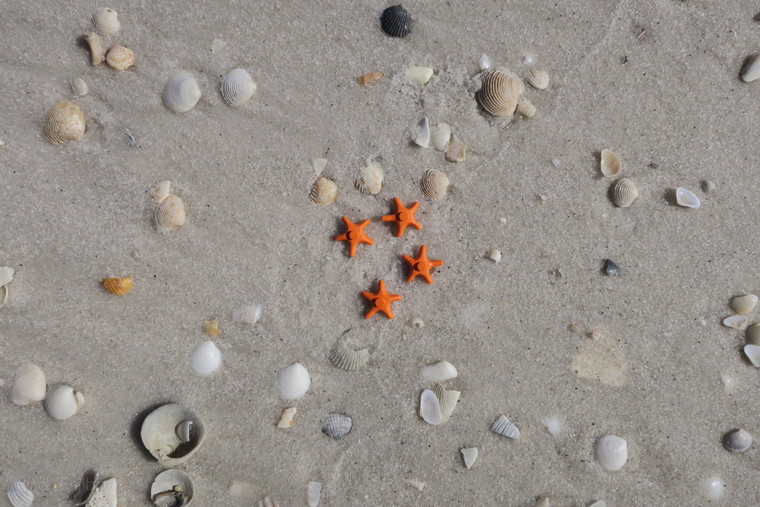 A group of 4 orange LEGO sea stars on the beach surrounded by sea shells.