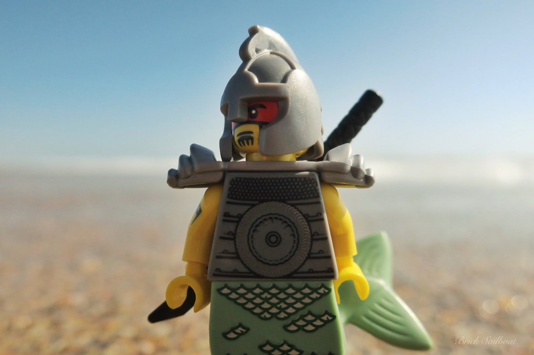 A mer-dude stands on the beach